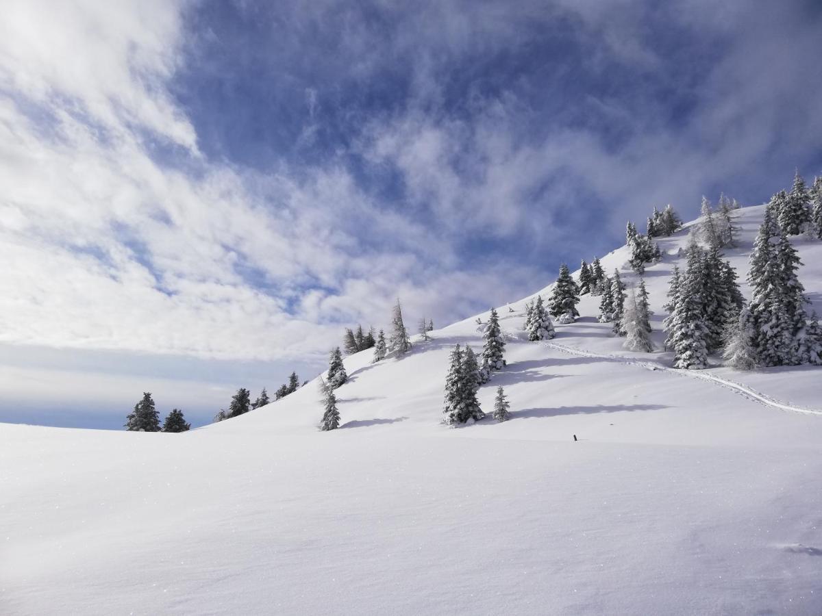 Landhaus Zitz Ranten Bagian luar foto
