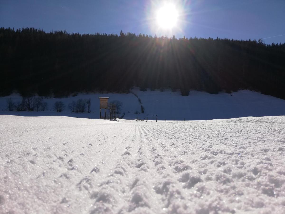 Landhaus Zitz Ranten Bagian luar foto